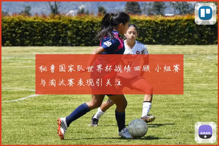 秘鲁国家队世界杯战绩回顾 小组赛与淘汰赛表现引关注